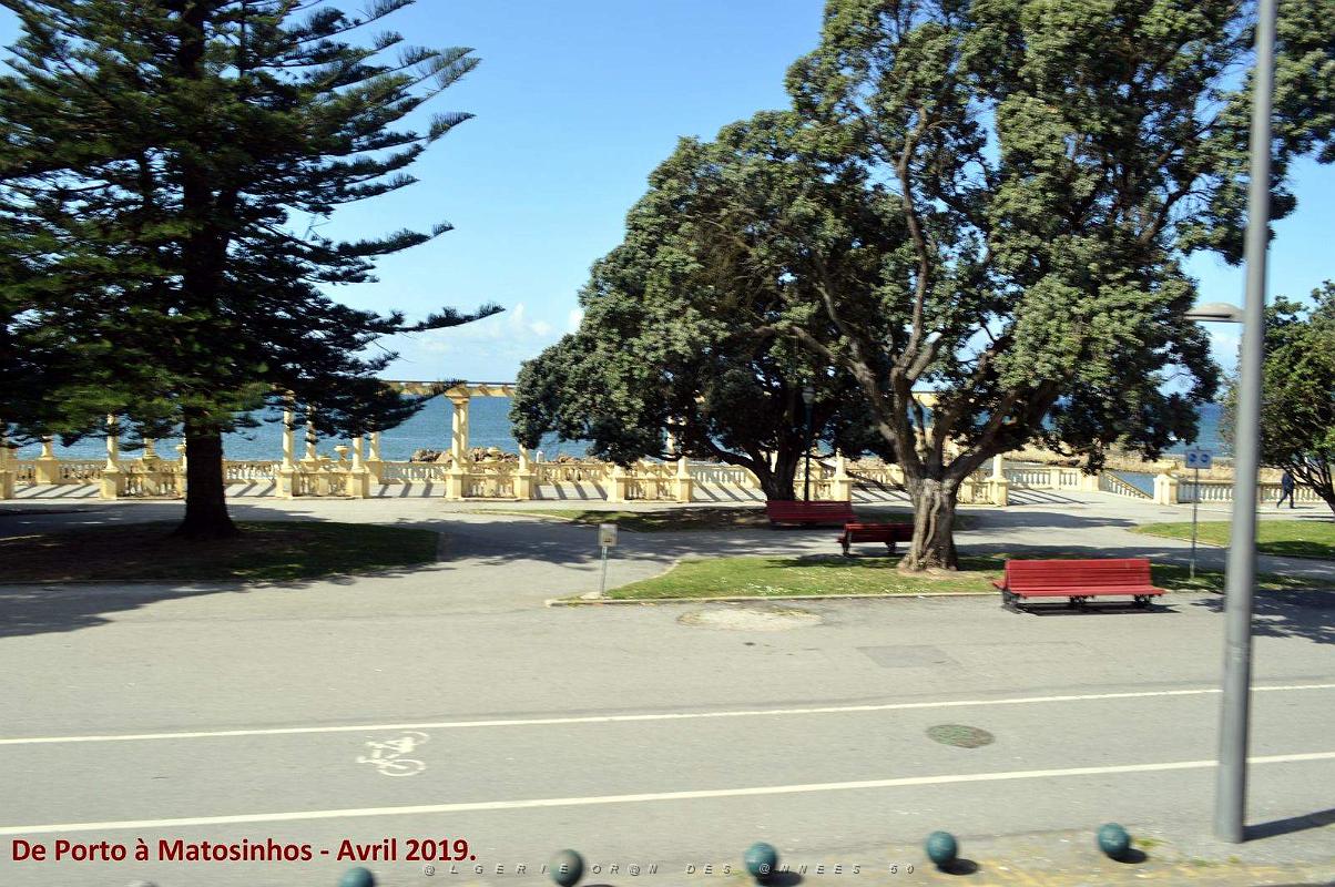 0877 - De Porto a Matosinhos.jpg